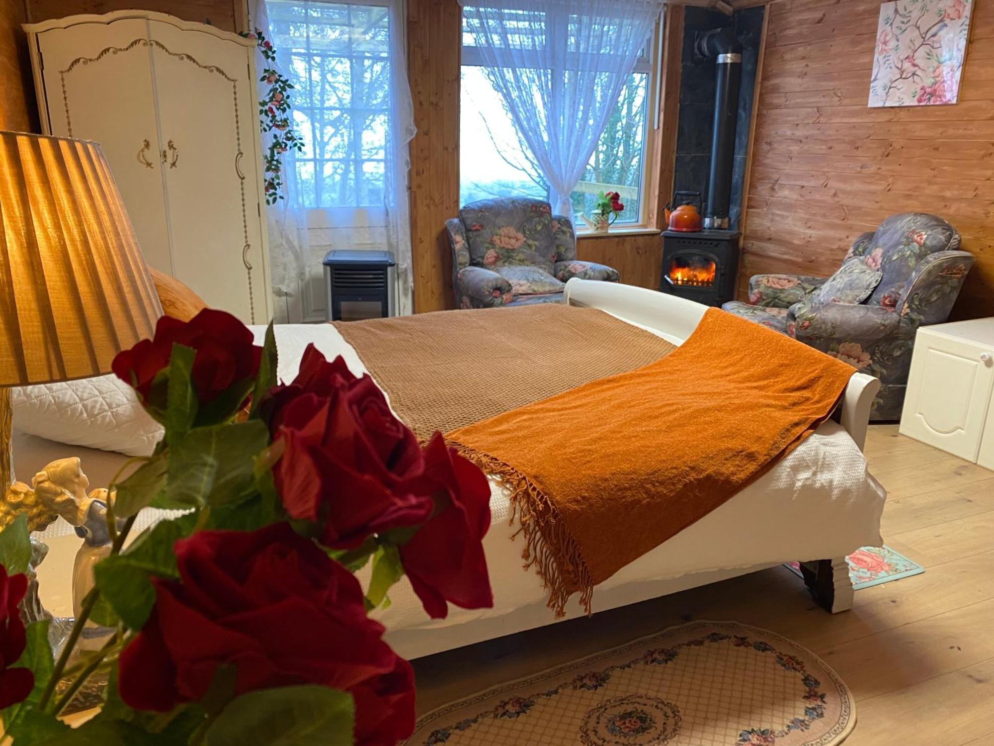 Cozy Room In A Barn With Farm View Δουβλίνο Εξωτερικό φωτογραφία